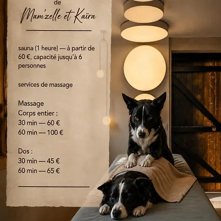 Atelier De Mam'zelle Et Kaira, Les Border Collies Amiens