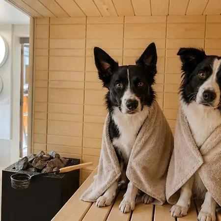 Vendégház Atelier De Mam'zelle Et Kaira, Les Border Collies